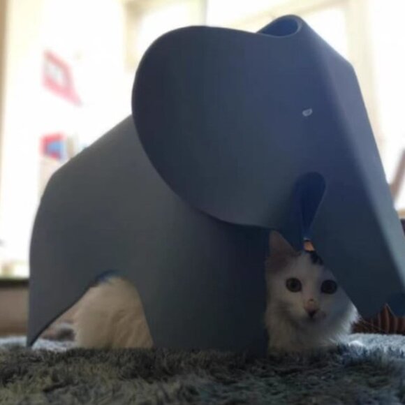 Playful Elephant Stool - Picture 5 of 10